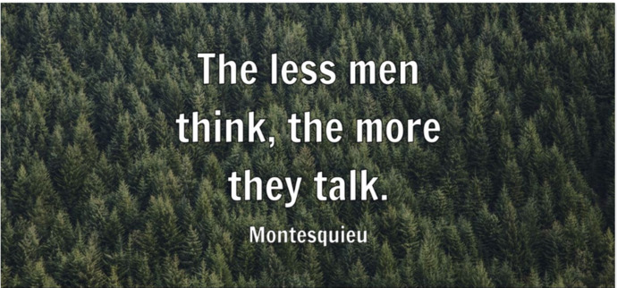 Which of these Montesquieu quotes do you like the most?