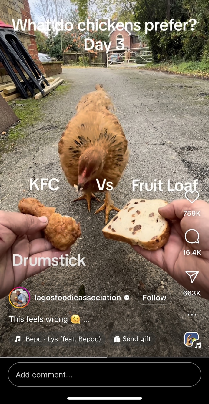 What would you do if you saw a chicken eating KFC?
