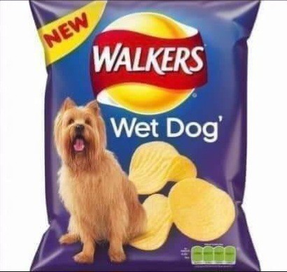 Do crisps taste like their claimed flavour?