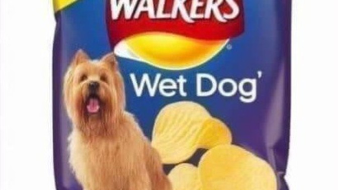Do crisps taste like their claimed flavour?