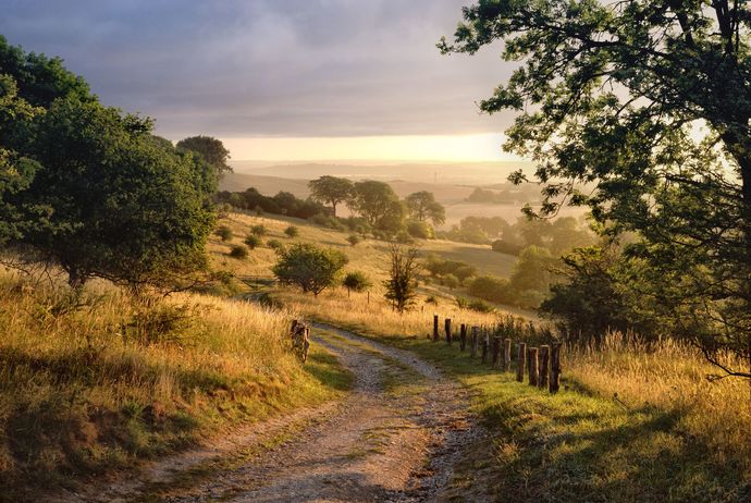 Is the countryside a better area to raise children?