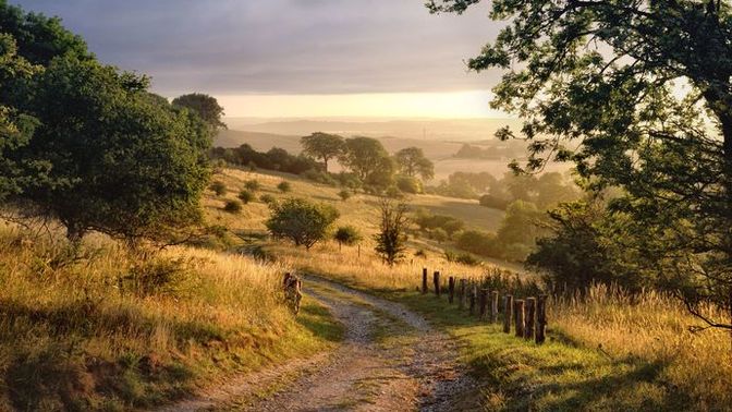 Is the countryside a better area to raise children?