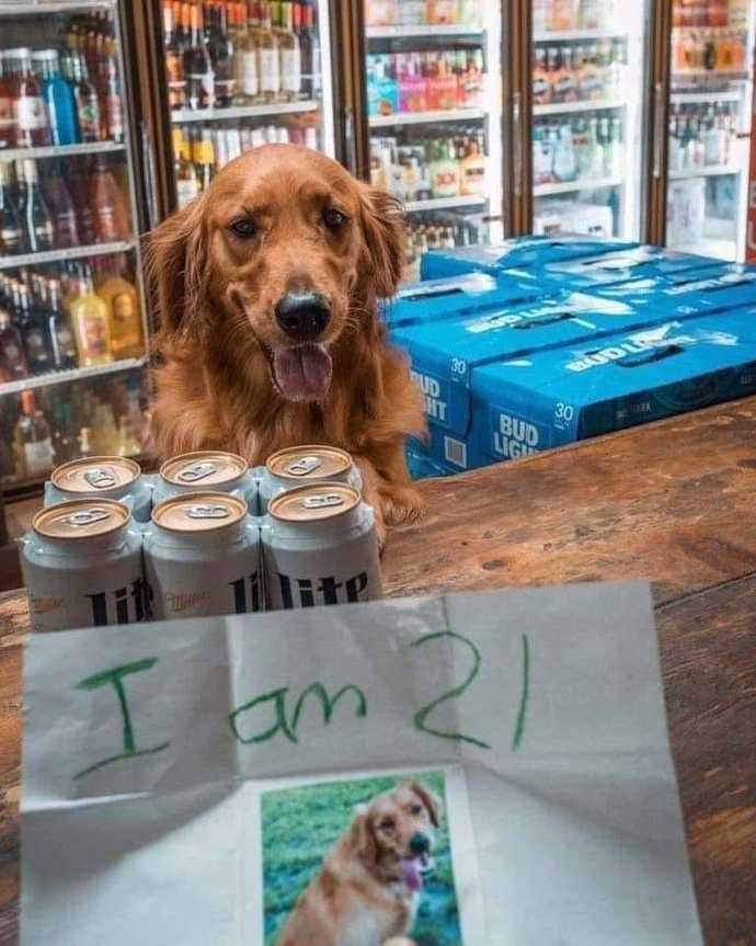 Who all drinking this fine Sunday?