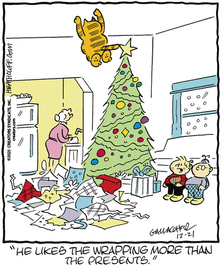 So cats... do we hate them or like them?