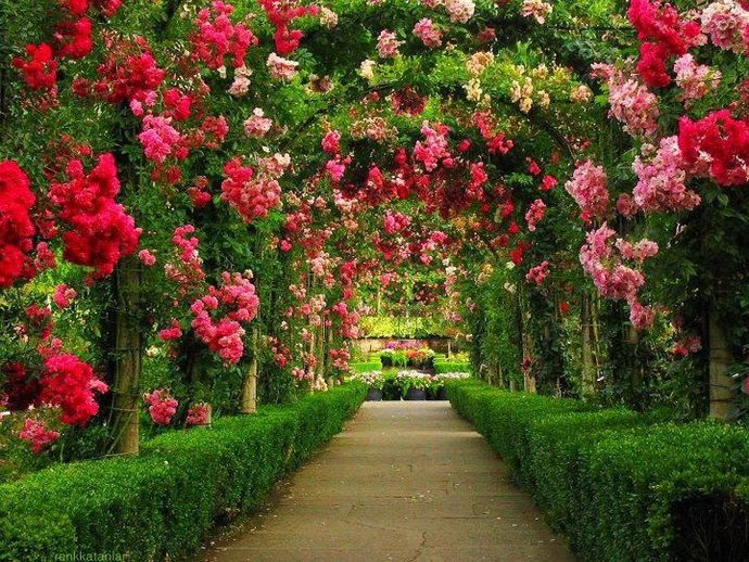 Do you get excited about house plants and gardening?
