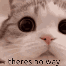 If your friend or someone you know asks you, if you find them cute, would you actually answer?