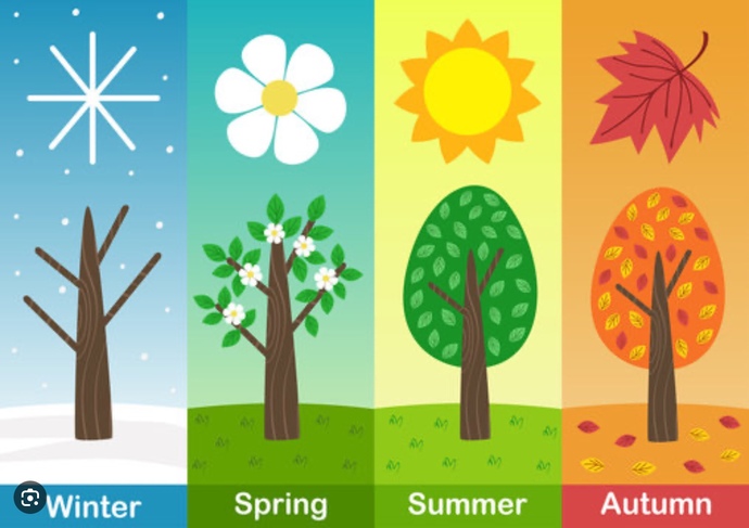 What season where u born in and what’s your zodiac sign?