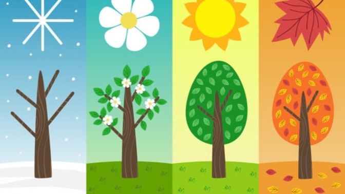 What season where u born in and what’s your zodiac sign?