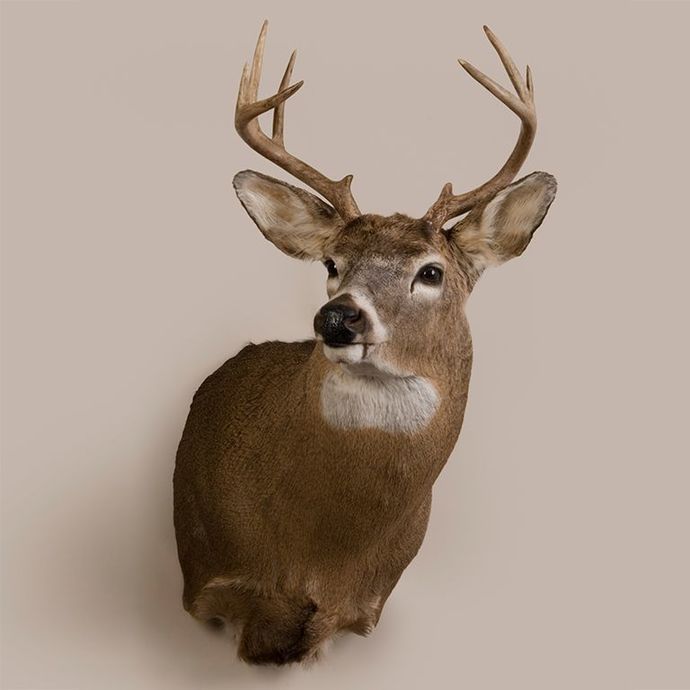 What’s a must-have for a man cave?