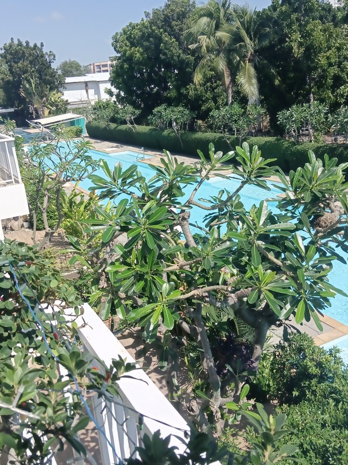 What do you think of my view?