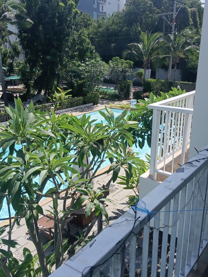 What do you think of my view?