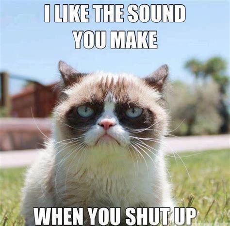 If your pet could talk for one day and spill all your secrets, what do you think they would reveal about you?