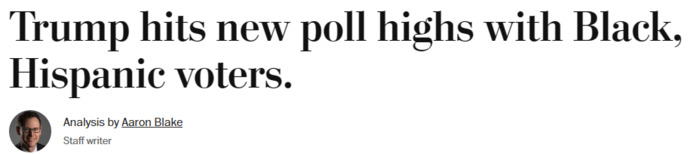 Can someone explain Trump's strategy to win the minority vote by saying Africans, Chinese & Mexicans are poisoning the blood white America?