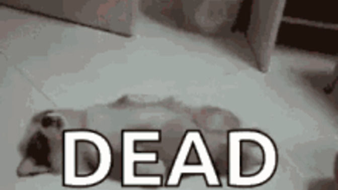 Are you dead? rip?