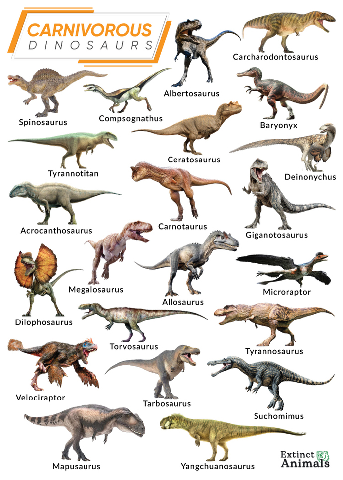 Your favorite reptile?