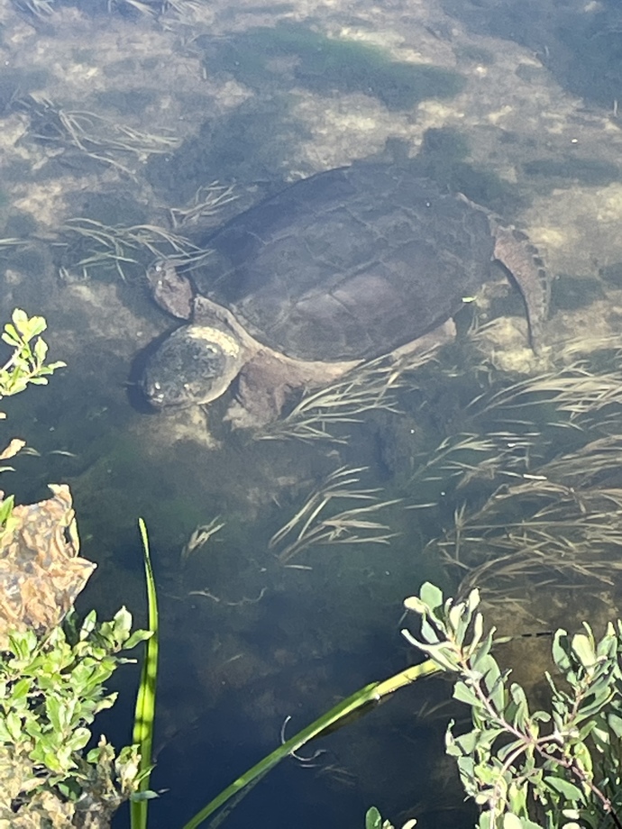 Dude is only slightly smaller than a manhole cover, he’s a fuckin’ TANK