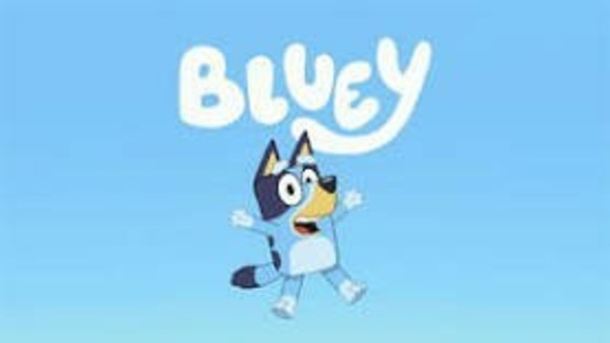 Which is your favourite kids show or web series?