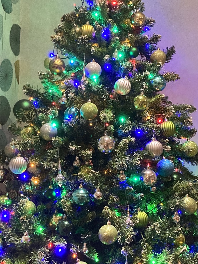 Merry Christmas. What's your Christmas tree look like? GirlsAskGuys