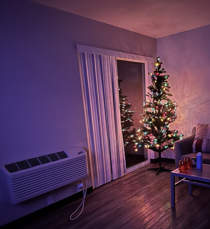 Merry Christmas. What's your Christmas tree look like? GirlsAskGuys