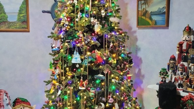Merry Christmas. What's your Christmas tree look like?