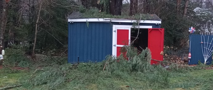 What is Something Wonderful that Happened this Year at Christmas?