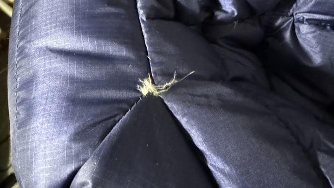 Does this look faulty? I bought a down jacket online, it’s brand new and I only wore it twice and the seam has ripped?