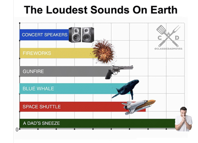 Why do dad’s sneeze the loudest?