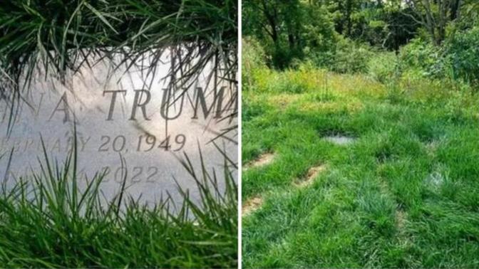 Would you bury your partner in your garden if it would give you a tax break?