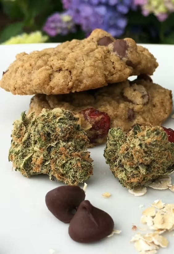Would you eat cannabis infused cookies?