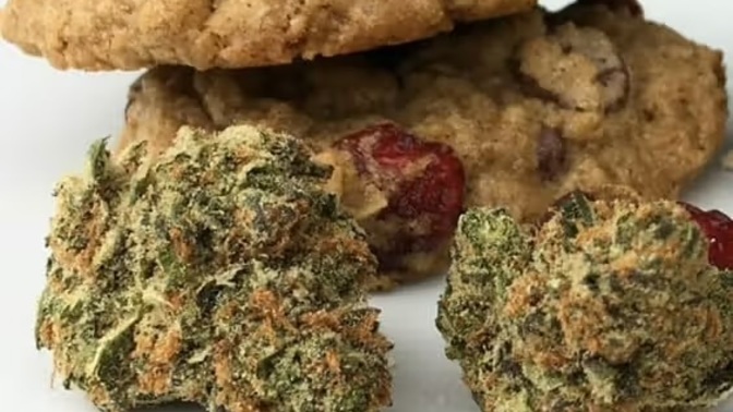 Would you eat cannabis infused cookies?