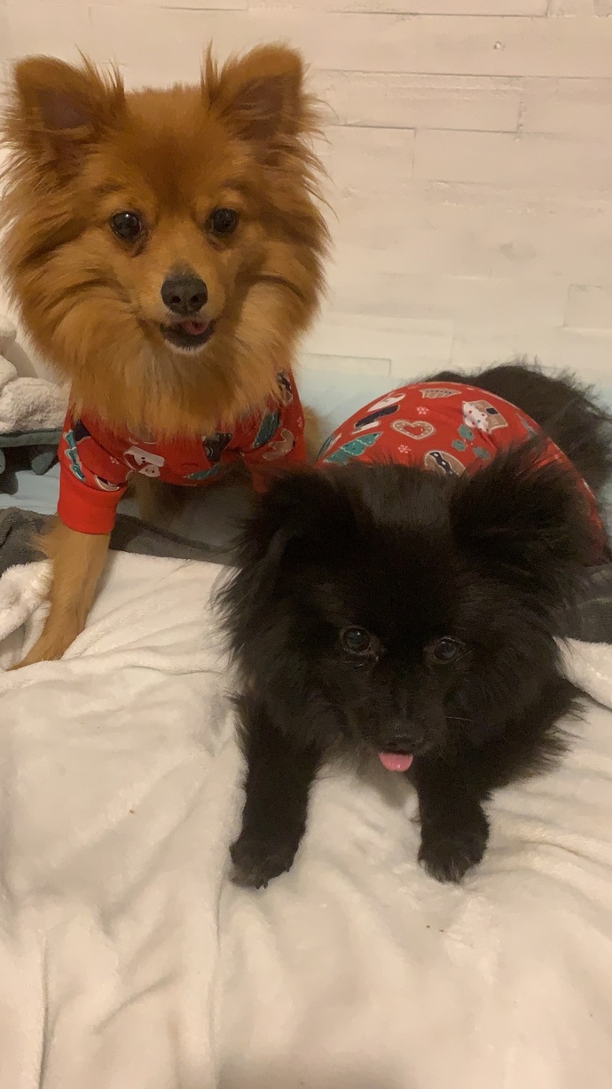 Nothing more precious 🥰🥰