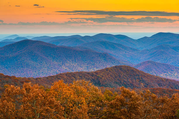 California vs Georgia. Which state would YOU rather live in ?