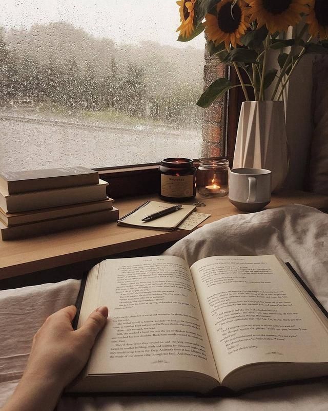 How many books have you read this past year?