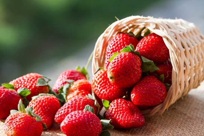 Strawberries vs watermelon. Which fruit do YOU like more ?