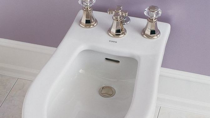 Do you have a bidet in your house/apartment?