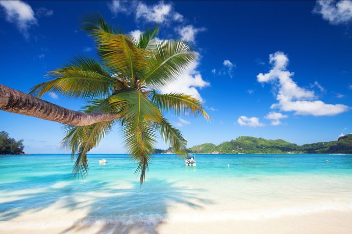 What Tropical Island Vacation would you prefer?