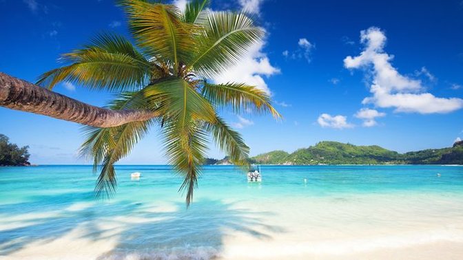 What Tropical Island Vacation would you prefer?