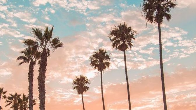 California vs Hawaii. Which state would YOU rather live in?