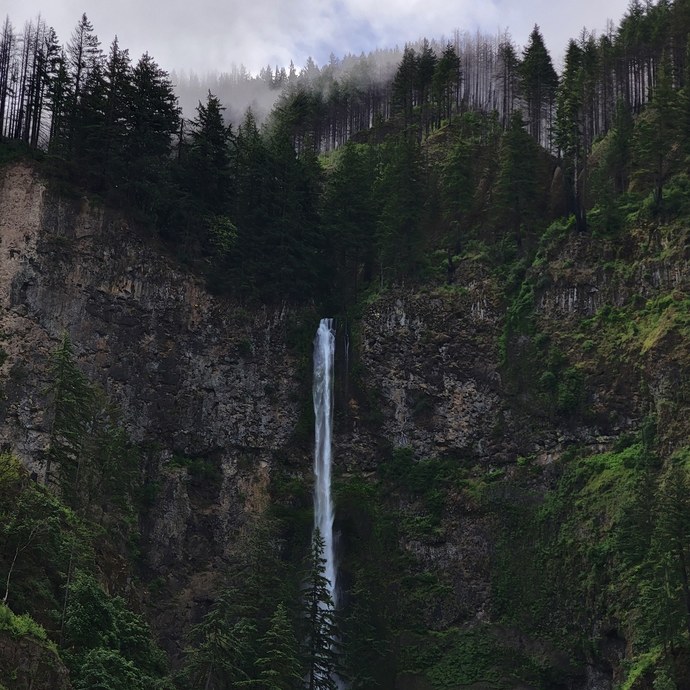 Which of these nature photos do you think is more beautiful ?