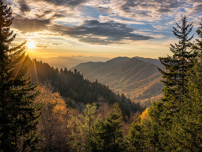 Which of these nature photos do you think is more beautiful ?