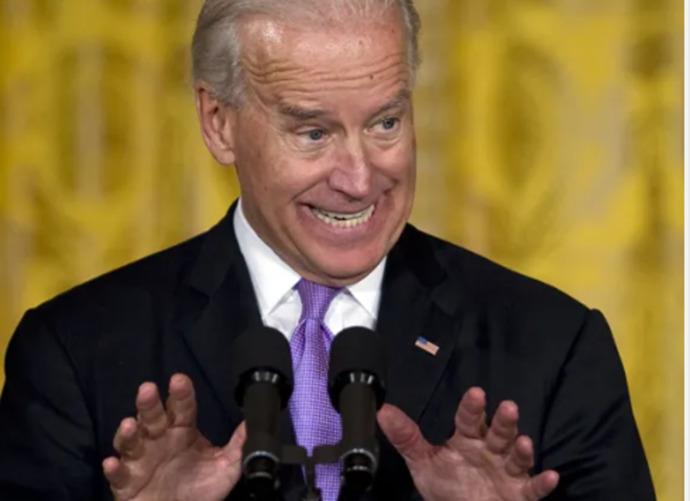 If, God forbid, Biden doesnt get another term, do you think he should become a software engineer? And what language would best fit him?