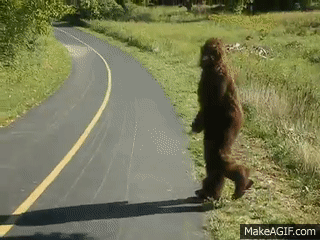 What size shoe, do you wear?