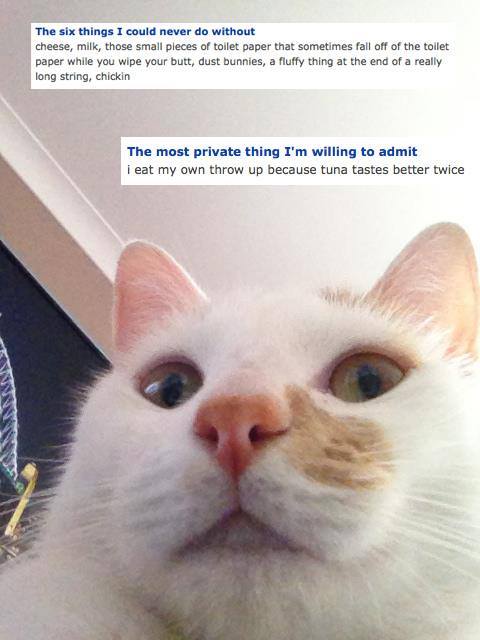 I think a woman tried to catfish me on OKCupid using photos of another real local woman? Should I identify the real person & let her know?
