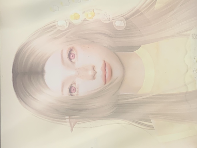 Which sim looks better?
