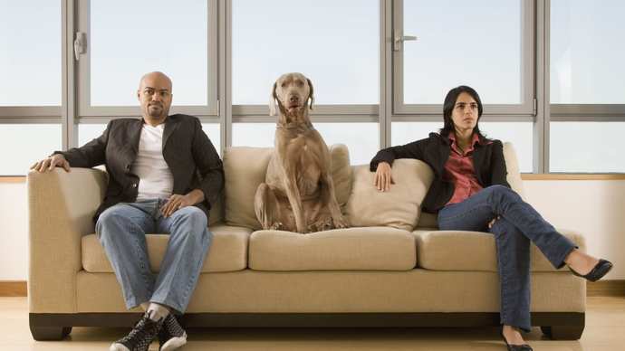 Have you ever had a break up where you fought over who got to keep the pets you got together?