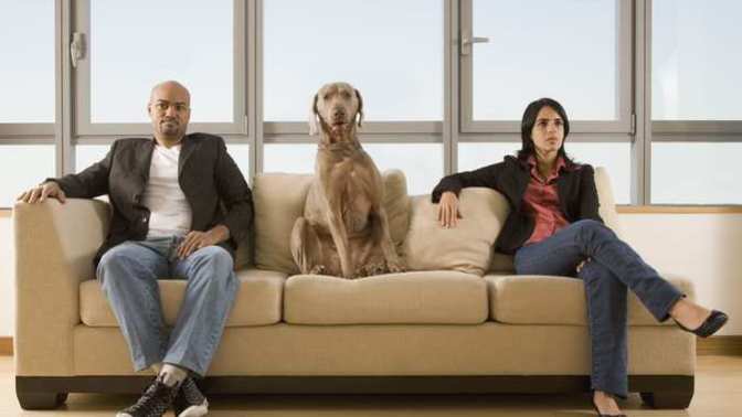 Have you ever had a break up where you fought over who got to keep the pets you got together?
