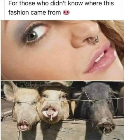 Are nose rings are unappealing?