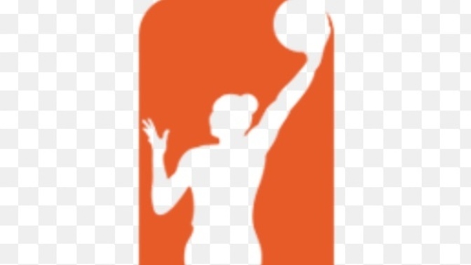 Why is the WNBA so over-hated?