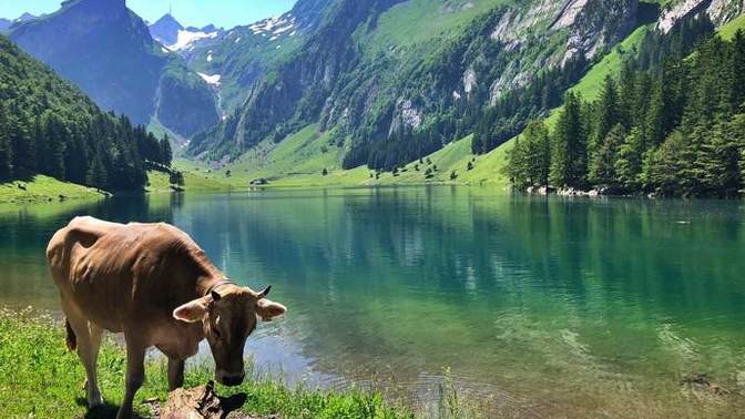 Which of these landscapes is more beautiful?