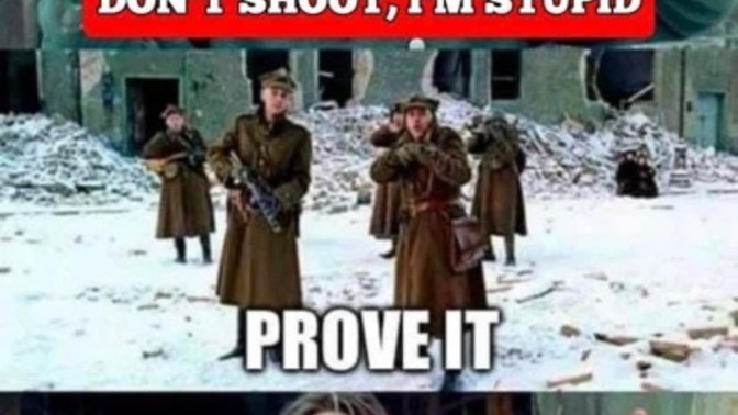 What do you think of these memes in the current situation?